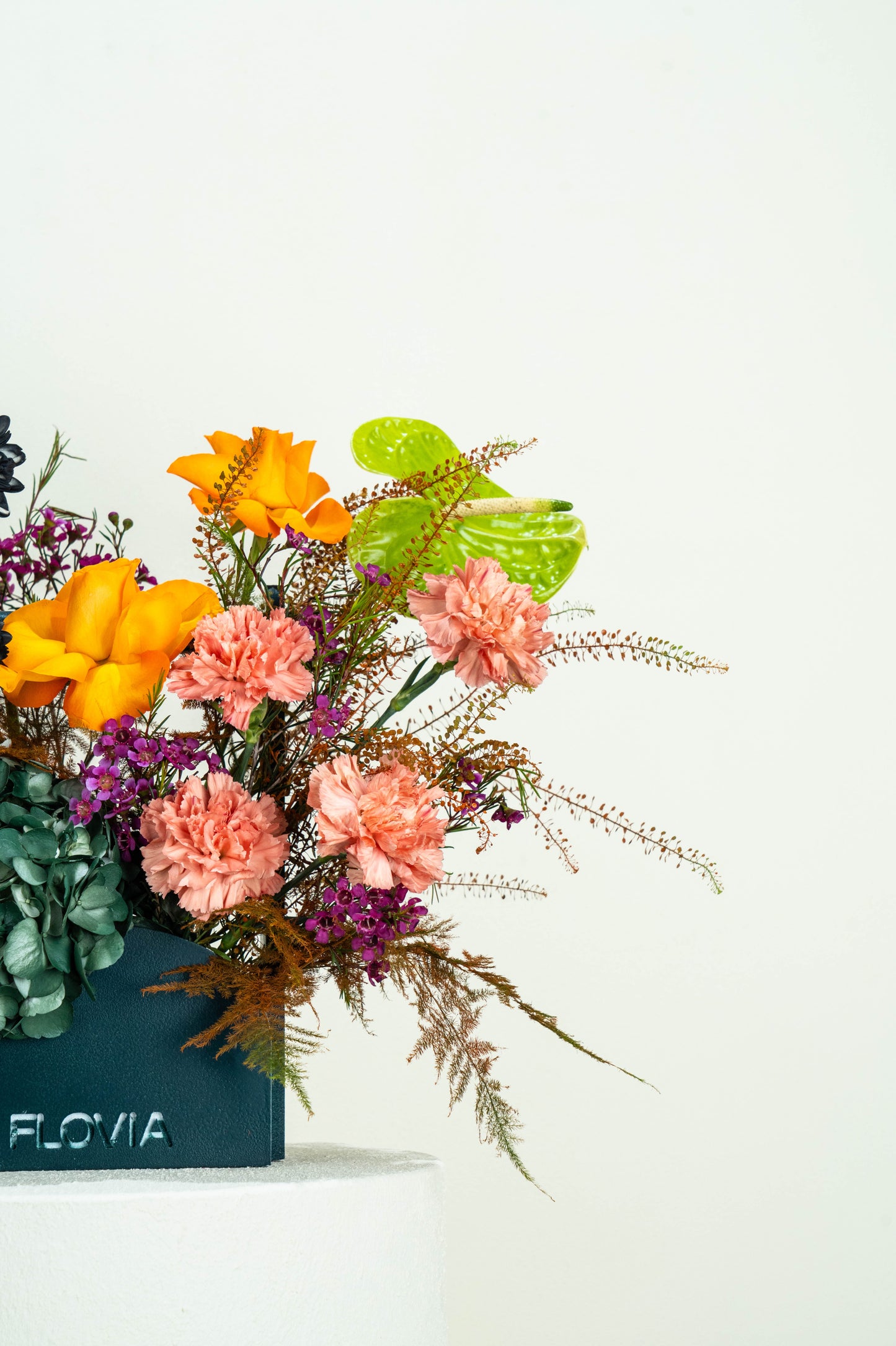 Midnight Marigold