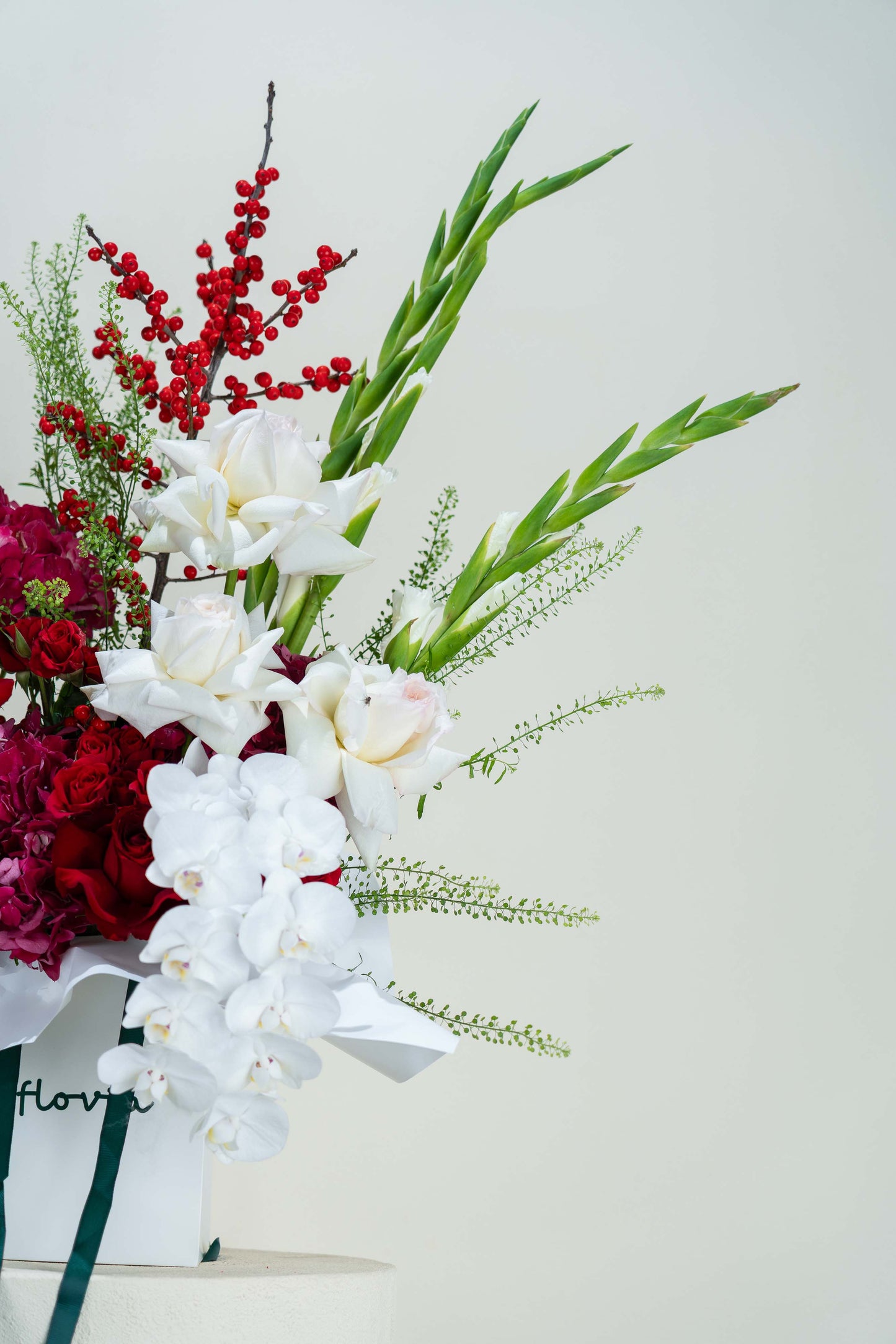 Royal Crimson Orchid