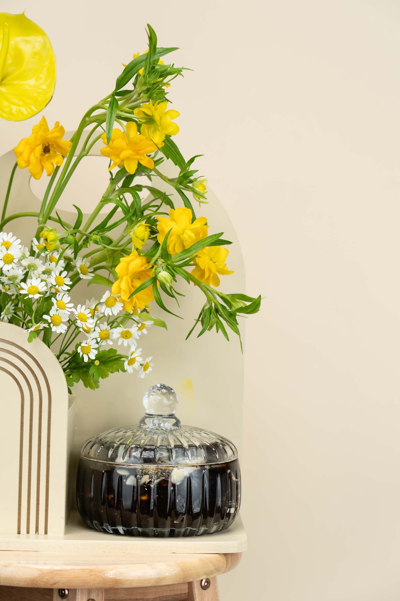 Elegant Yellow Daisy