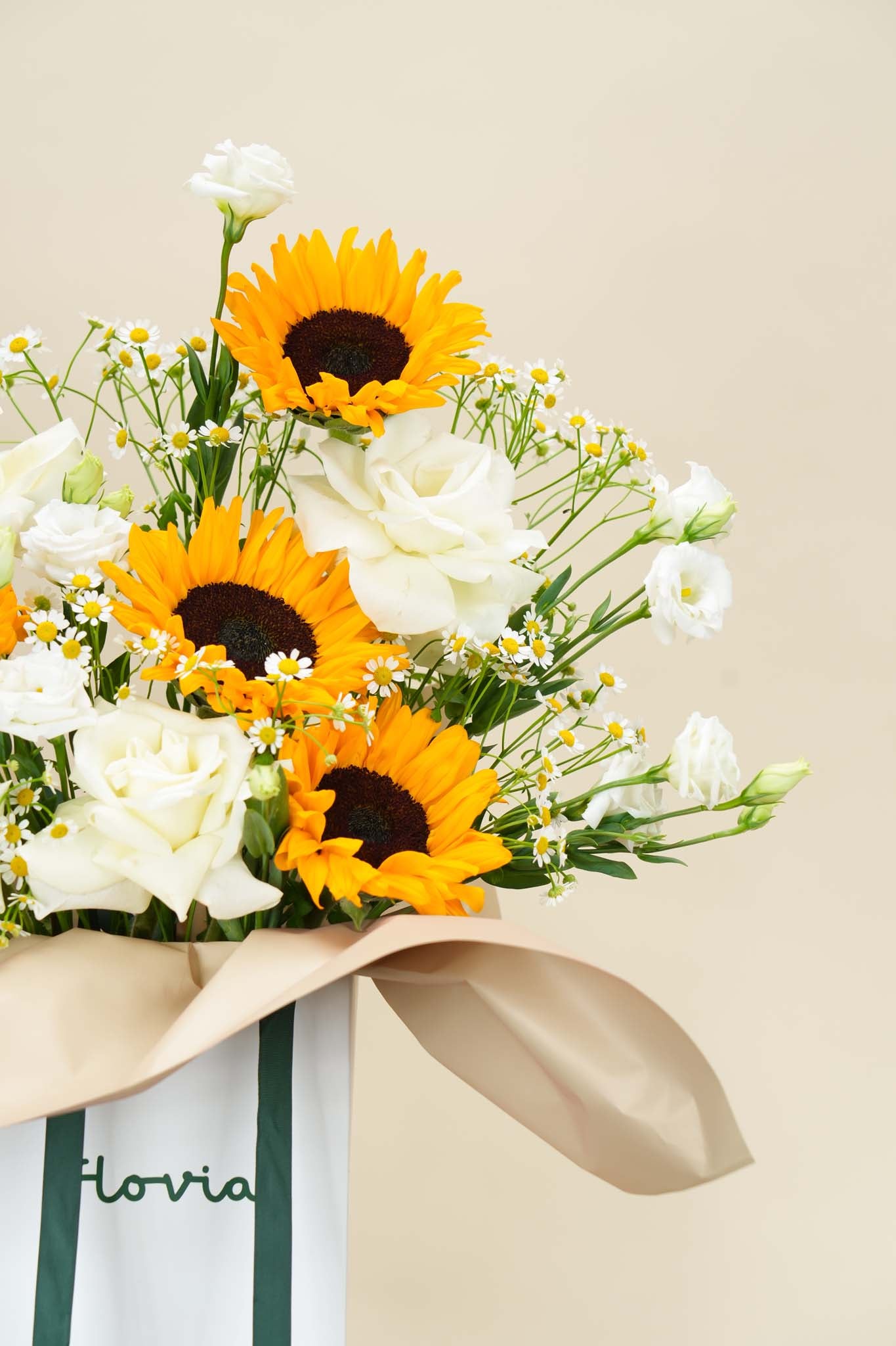 Golden Sunbeam Blossom