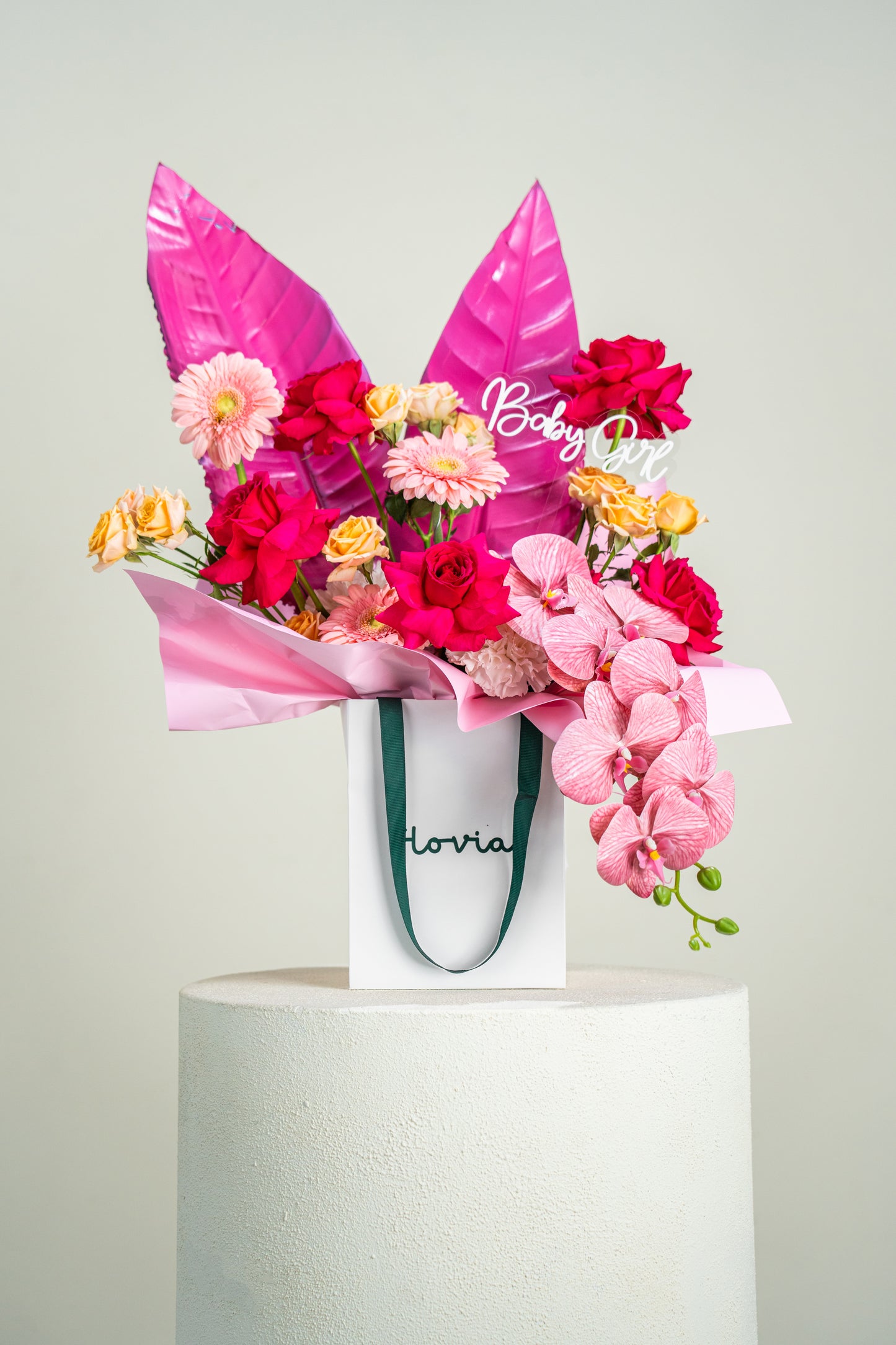 Coral Surprise