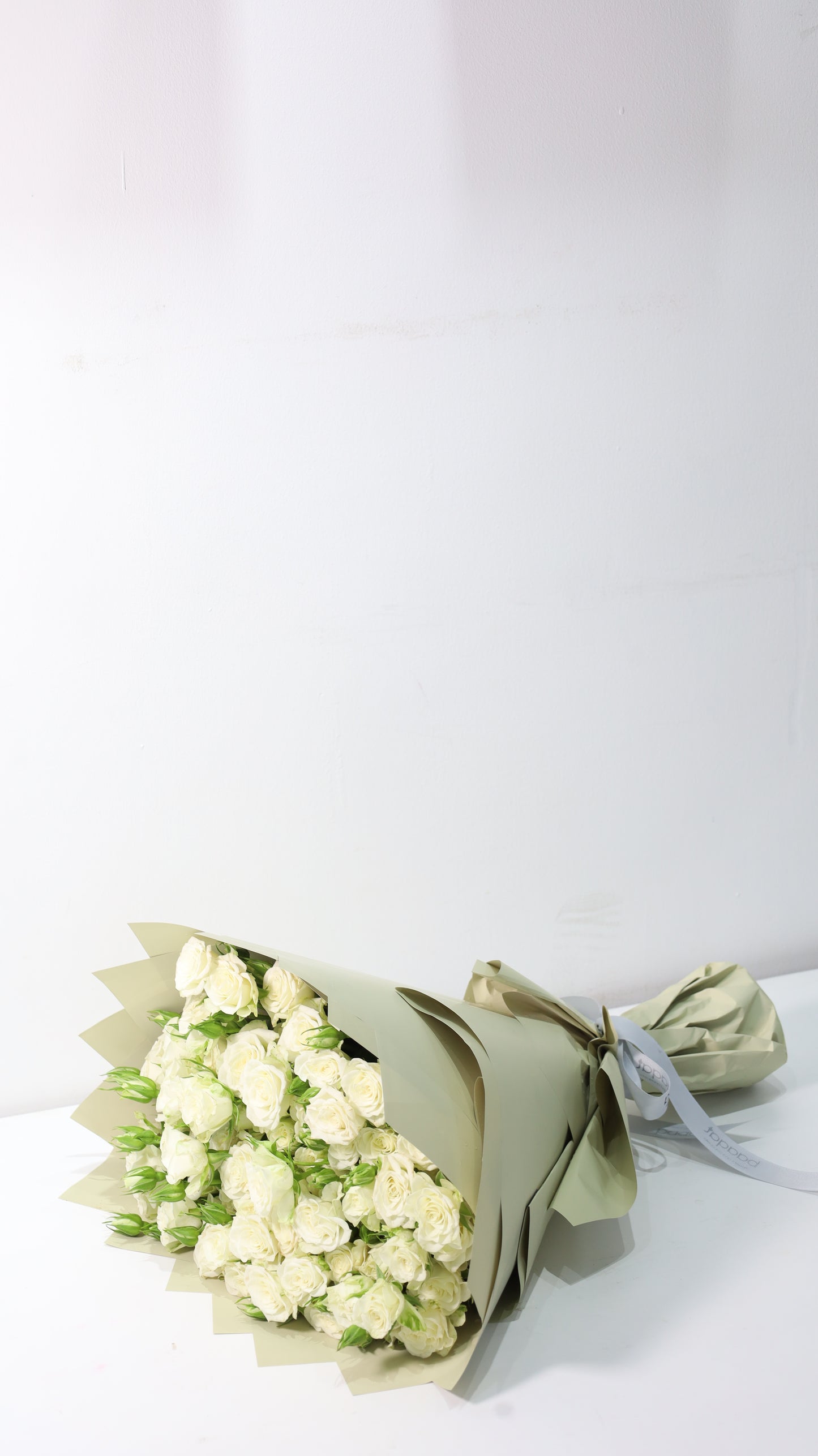 White rose flower is always class & beautiful