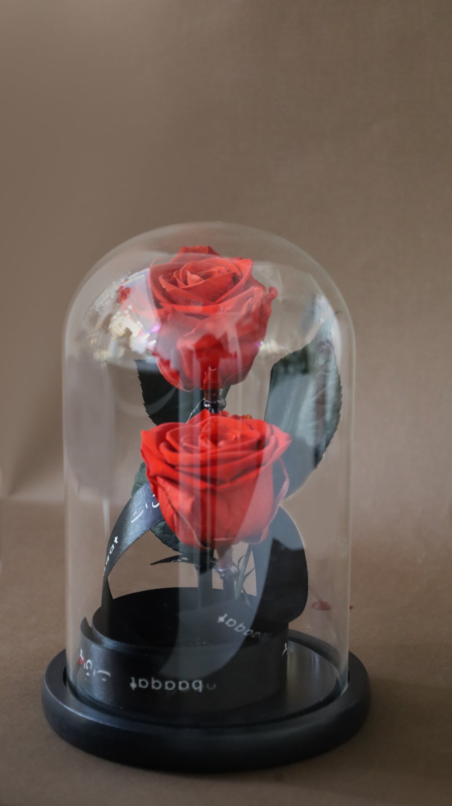 Infinity rose flowers in an infinity roses box
