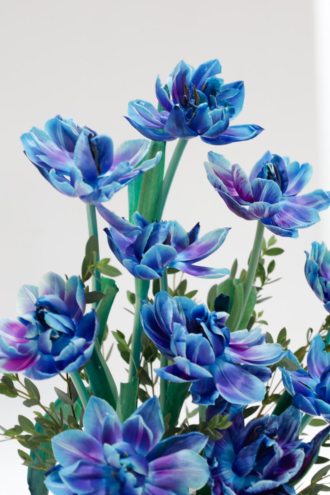 Magical Tulip Vase | Flower Shop Dubai.