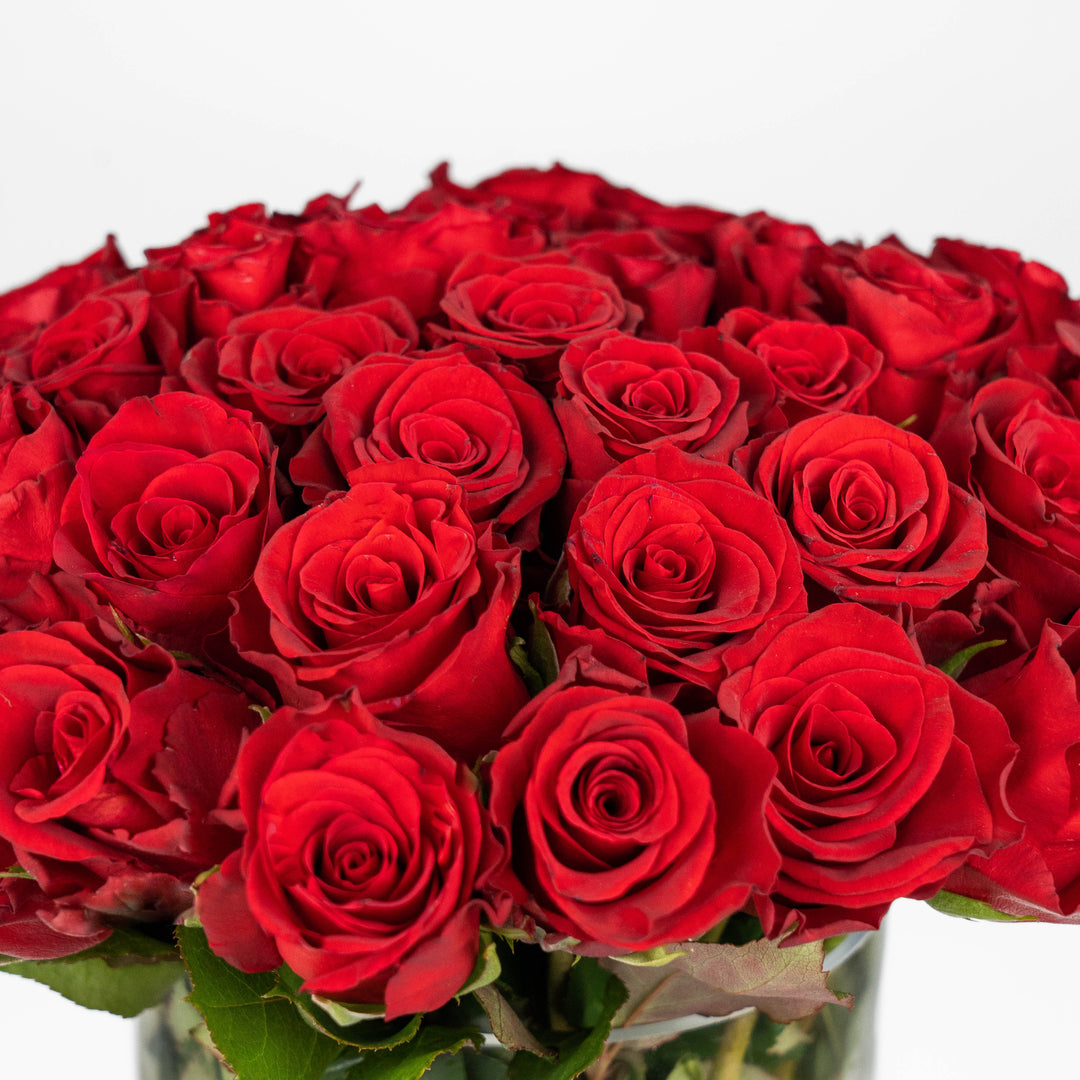 50 RED ROSES IN VASE | Flower Shop Dubai.