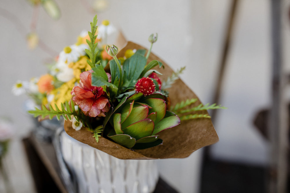 August Season Flowers Guide in U.A.E. – Blooming Beauty Delivered to Your Door