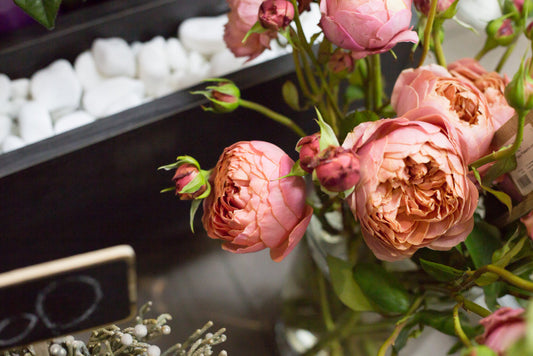 Most Expensive Flowers in the World – A Look at Nature’s Luxury Blooms