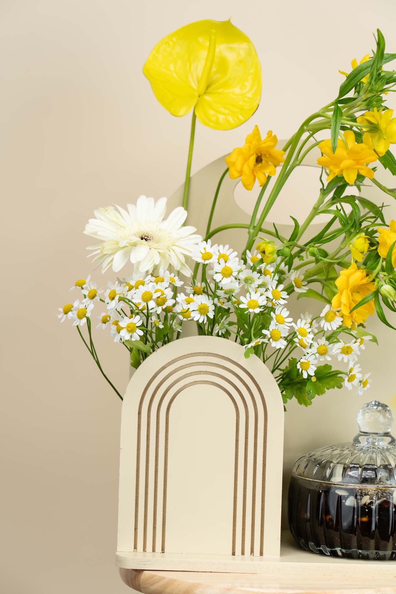 Elegant Yellow Daisy