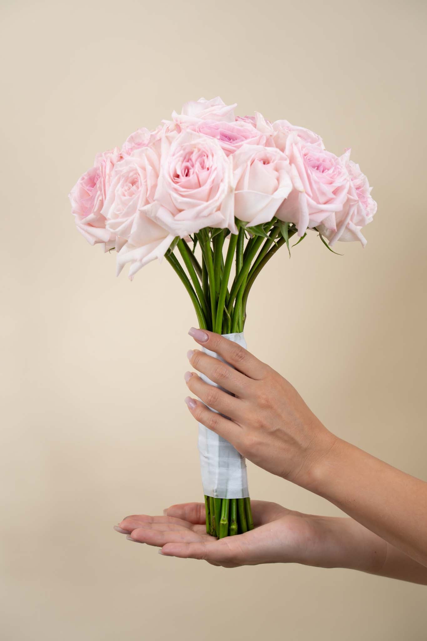Blush Pink Rose Hand Bouquet