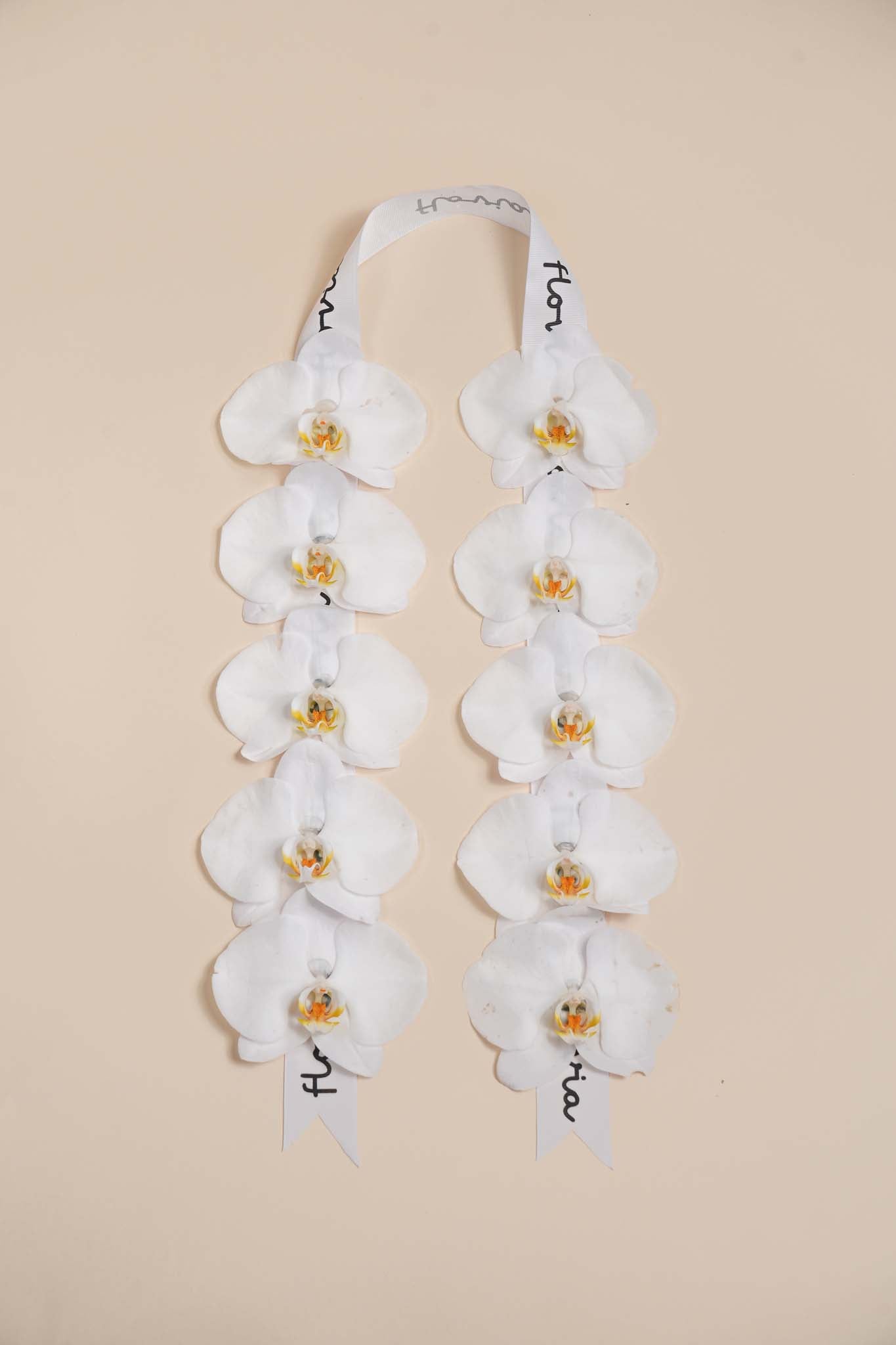 Pure Orchid Graduation Leis
