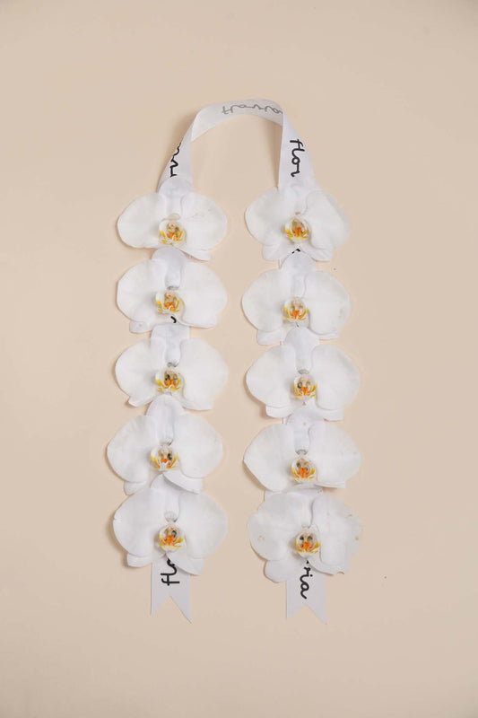 Pure Orchid Graduation Leis