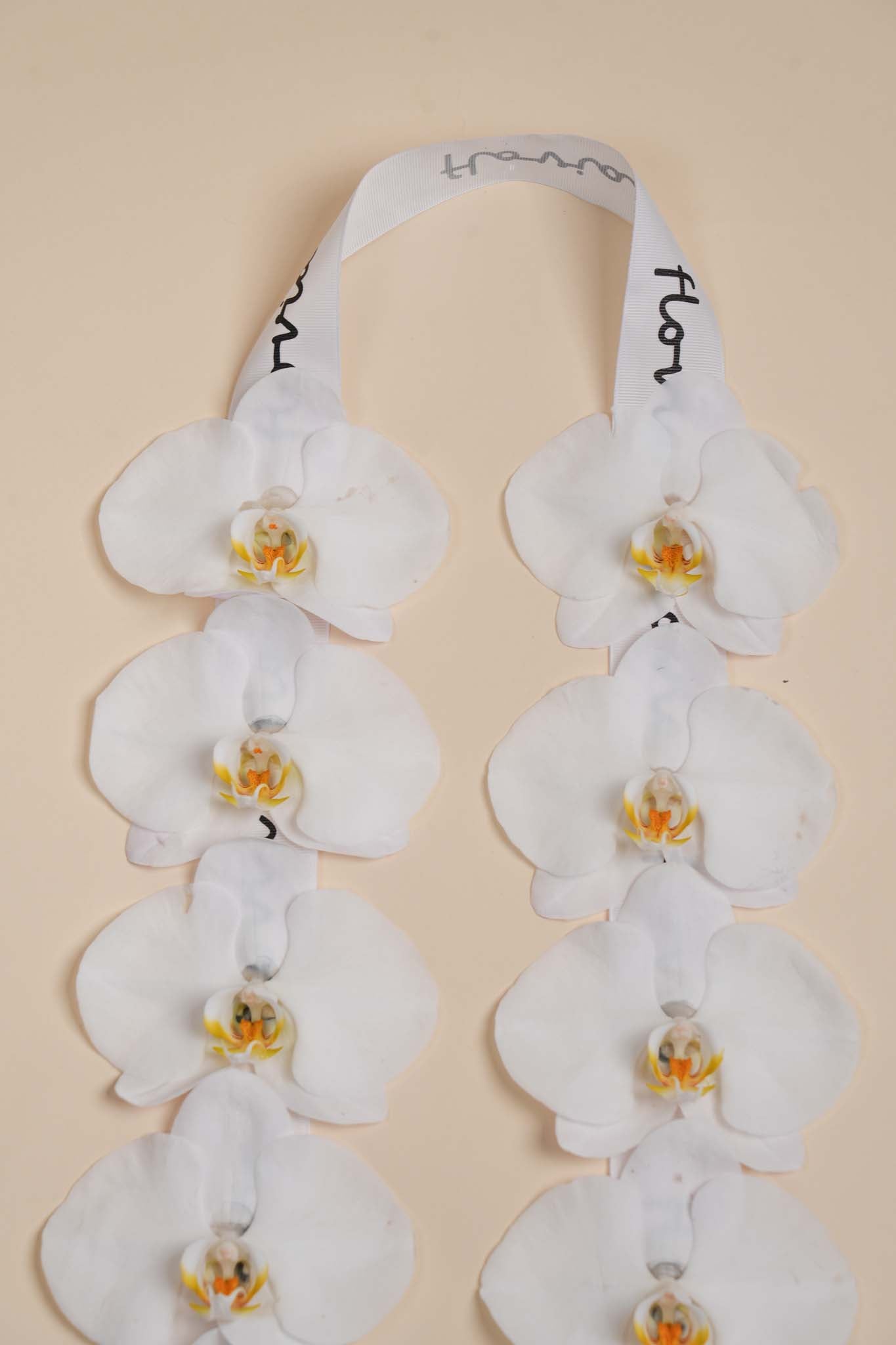 Pure Orchid Graduation Leis