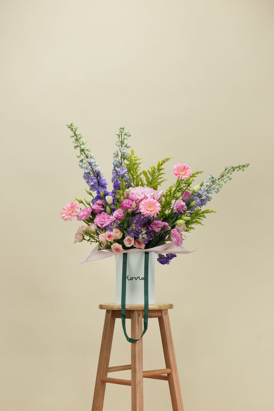 Delphinium Garden Elegance