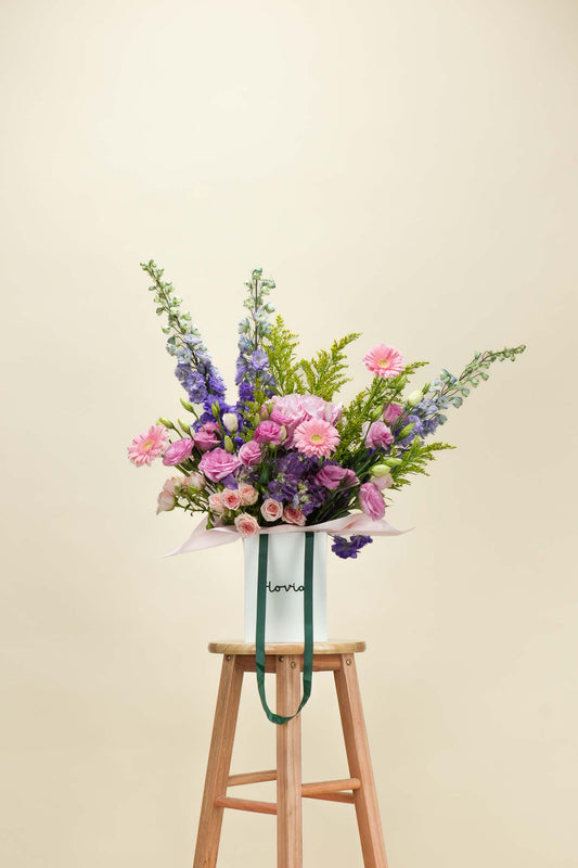 Delphinium Garden Elegance