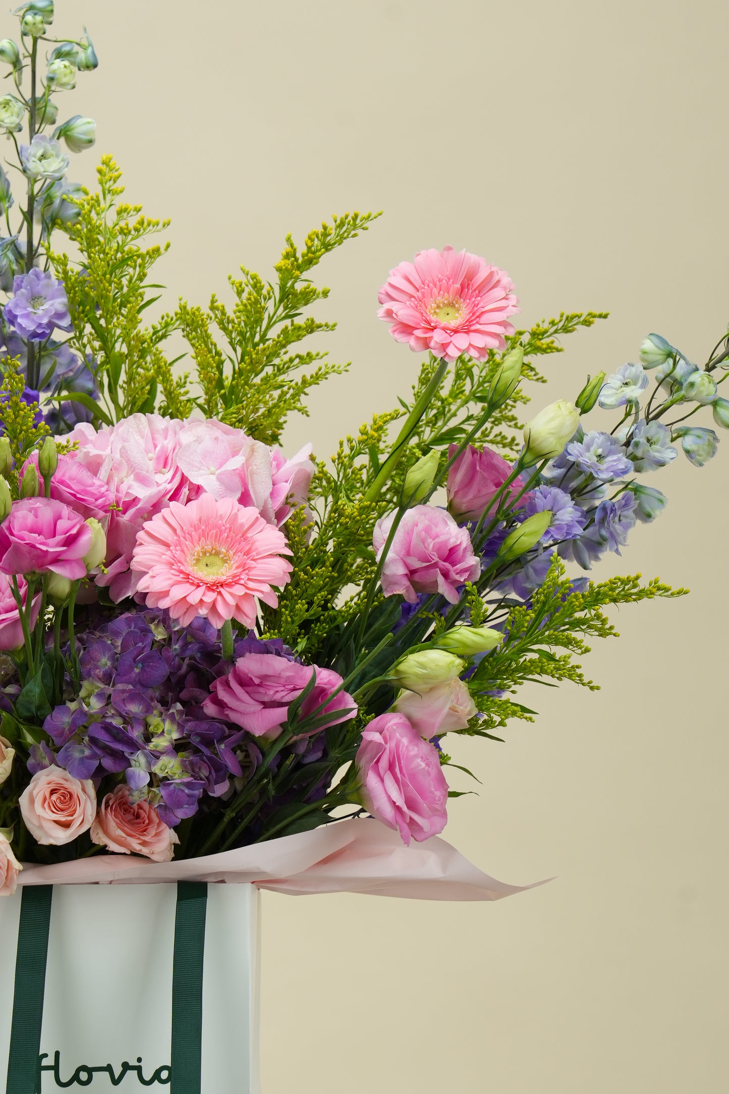 Delphinium Garden Elegance