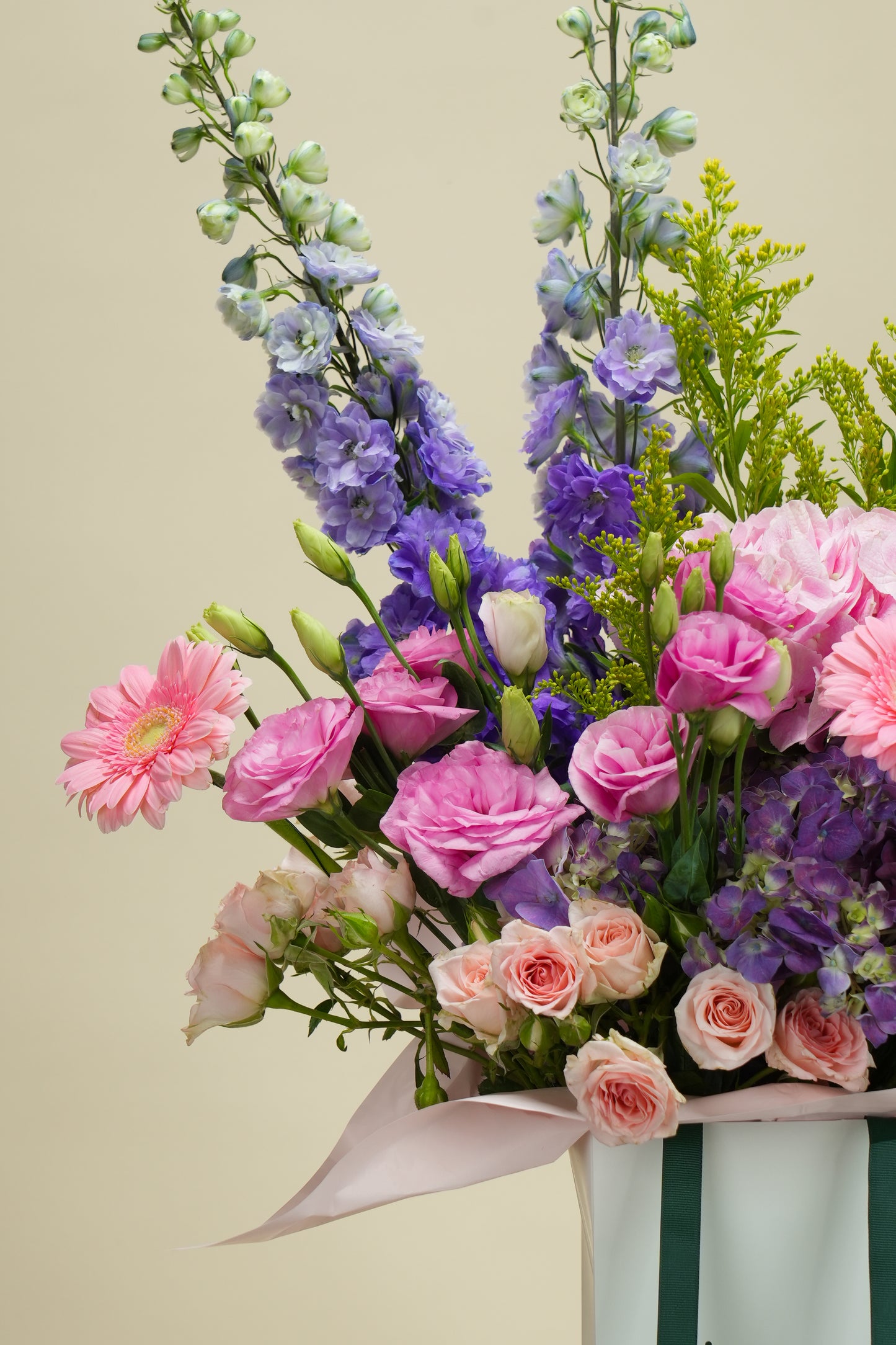 Delphinium Garden Elegance