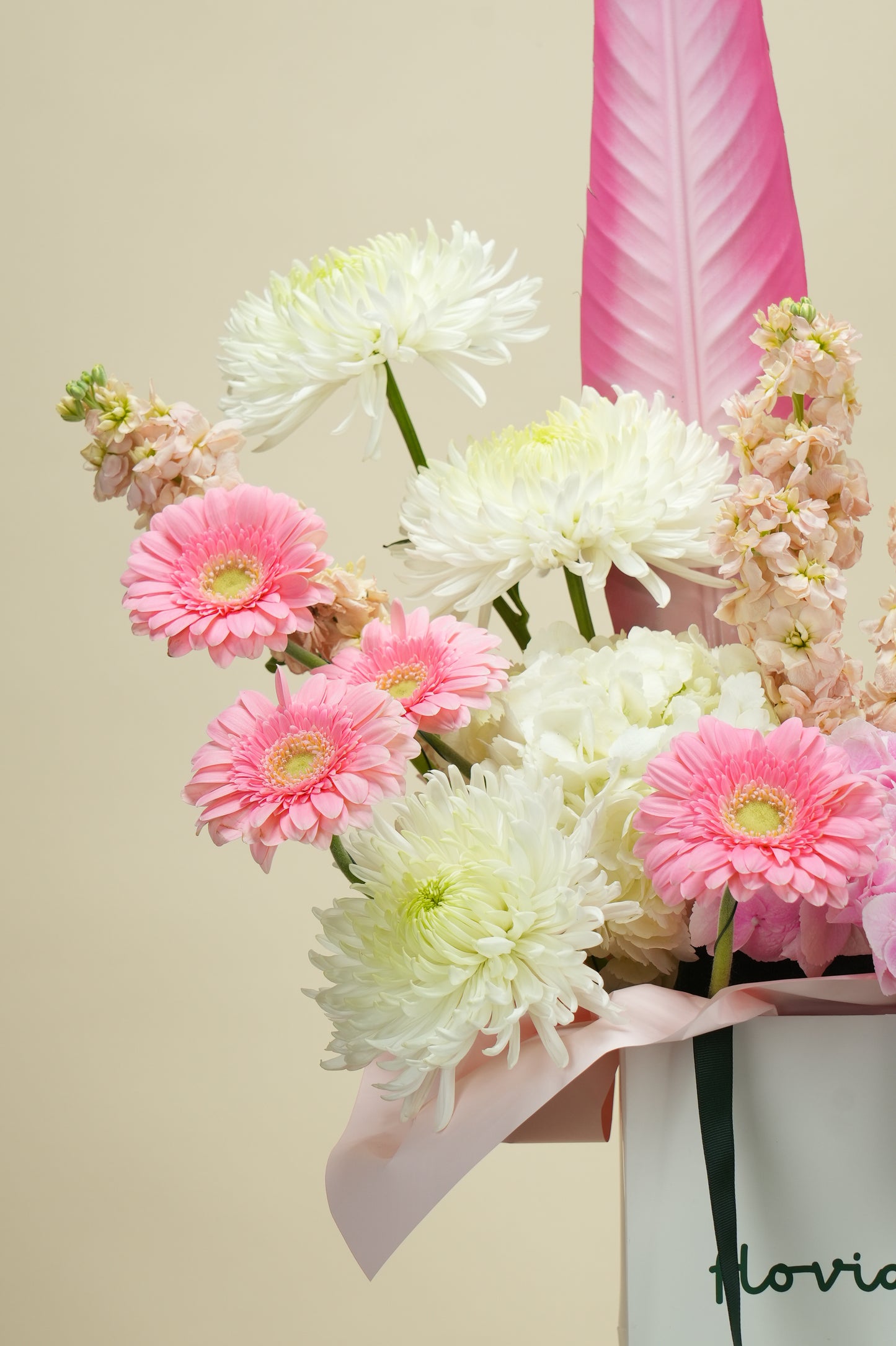 Cotton Blush Bloom Bag