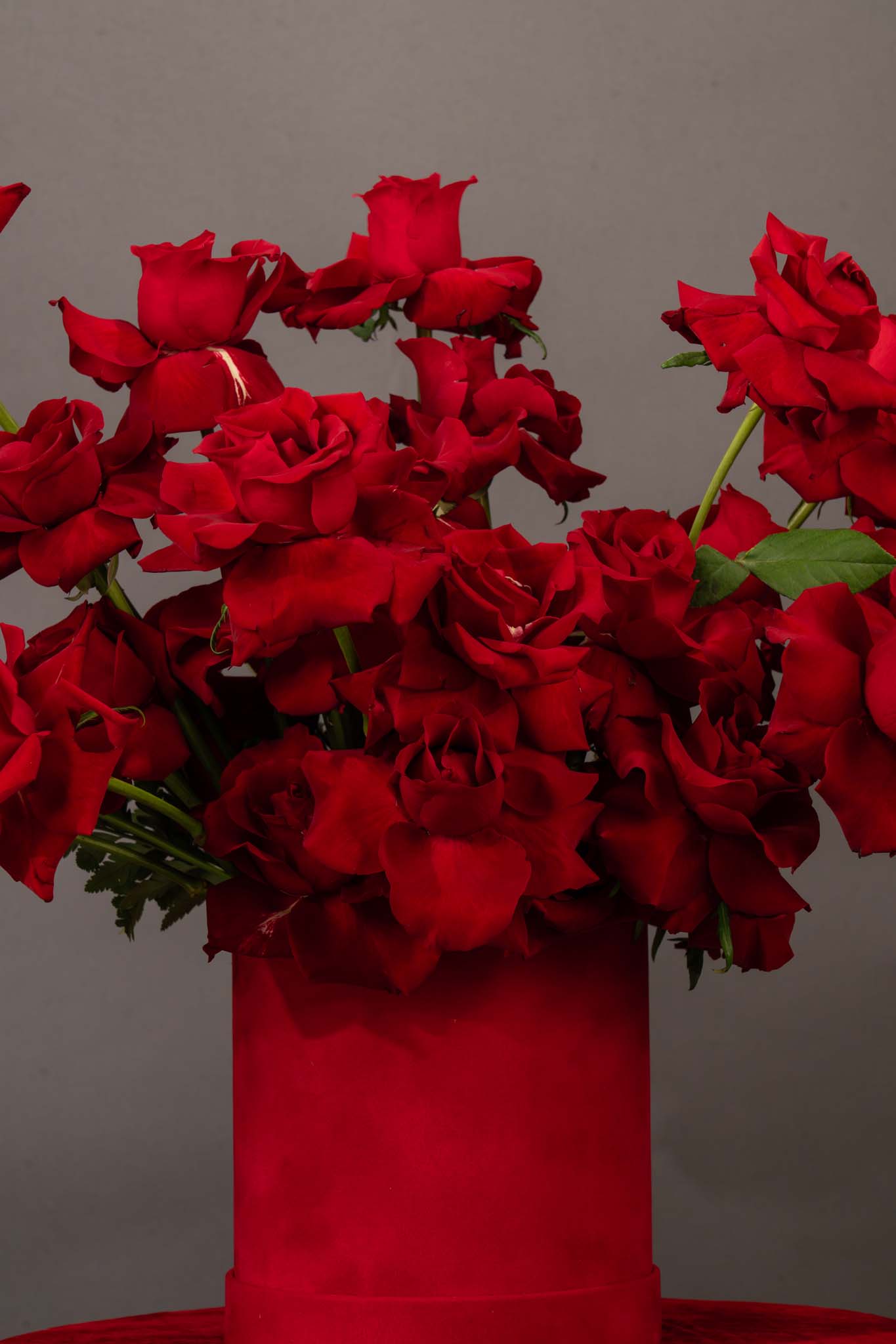 Mini Scarlet Love Rose Box