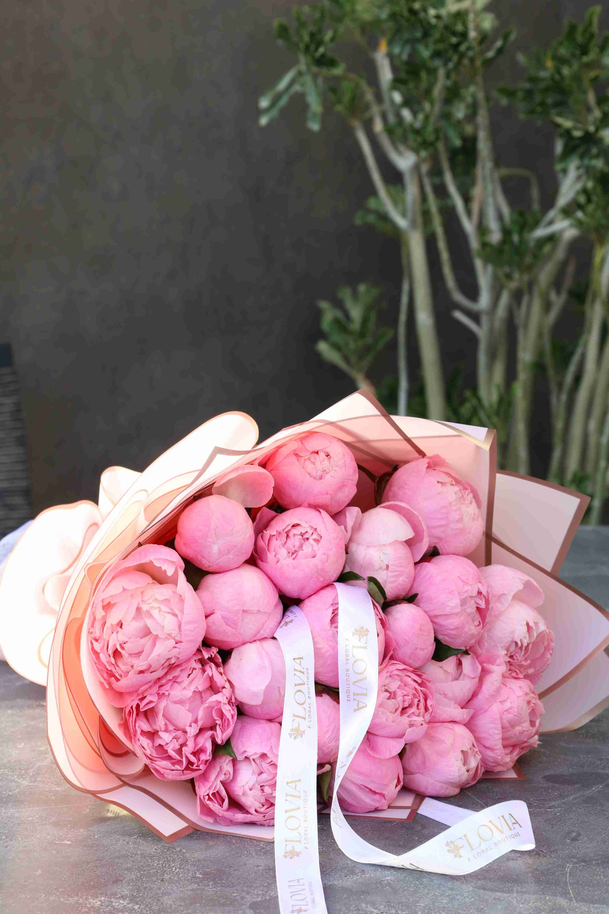 Pink peony blossom for stealing the show