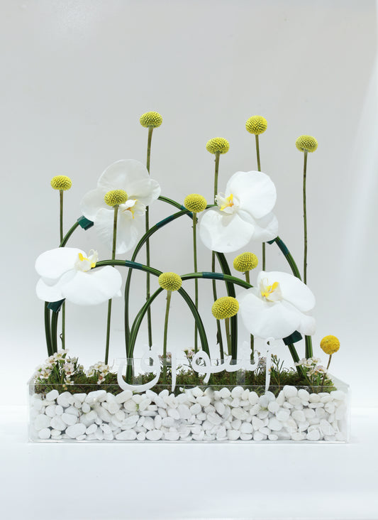 Eid Pure White Bloom | Flower Shop Dubai.