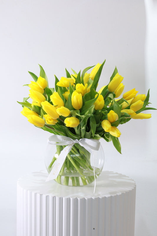 Bright Yellow Tulips